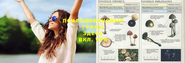 скорость Покров