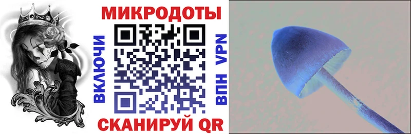 OMG   Ревда  Псилоцибиновые грибы Cubensis 