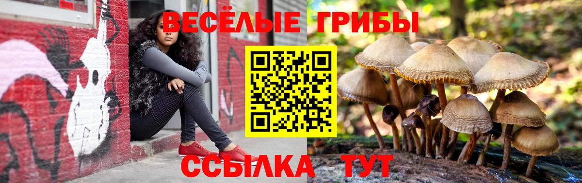 Псилоцибиновые грибы Cubensis  Вход с VPN  Ревда 