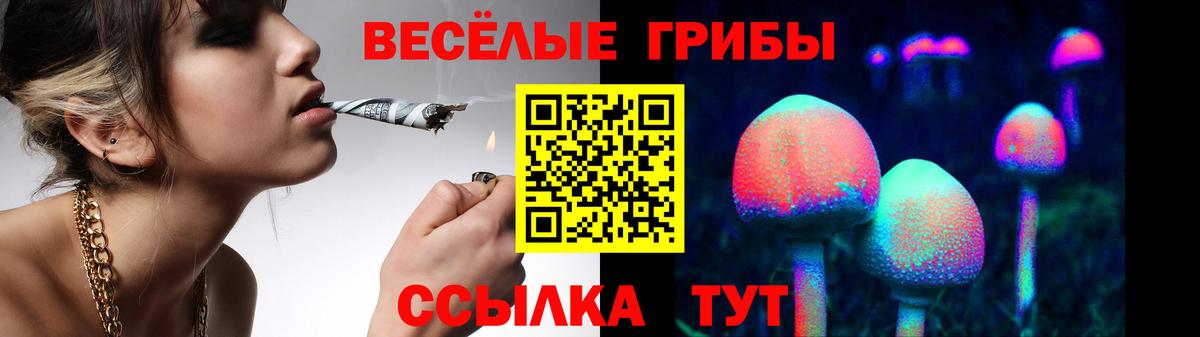 Псилоцибиновые грибы ЛСД Ревда